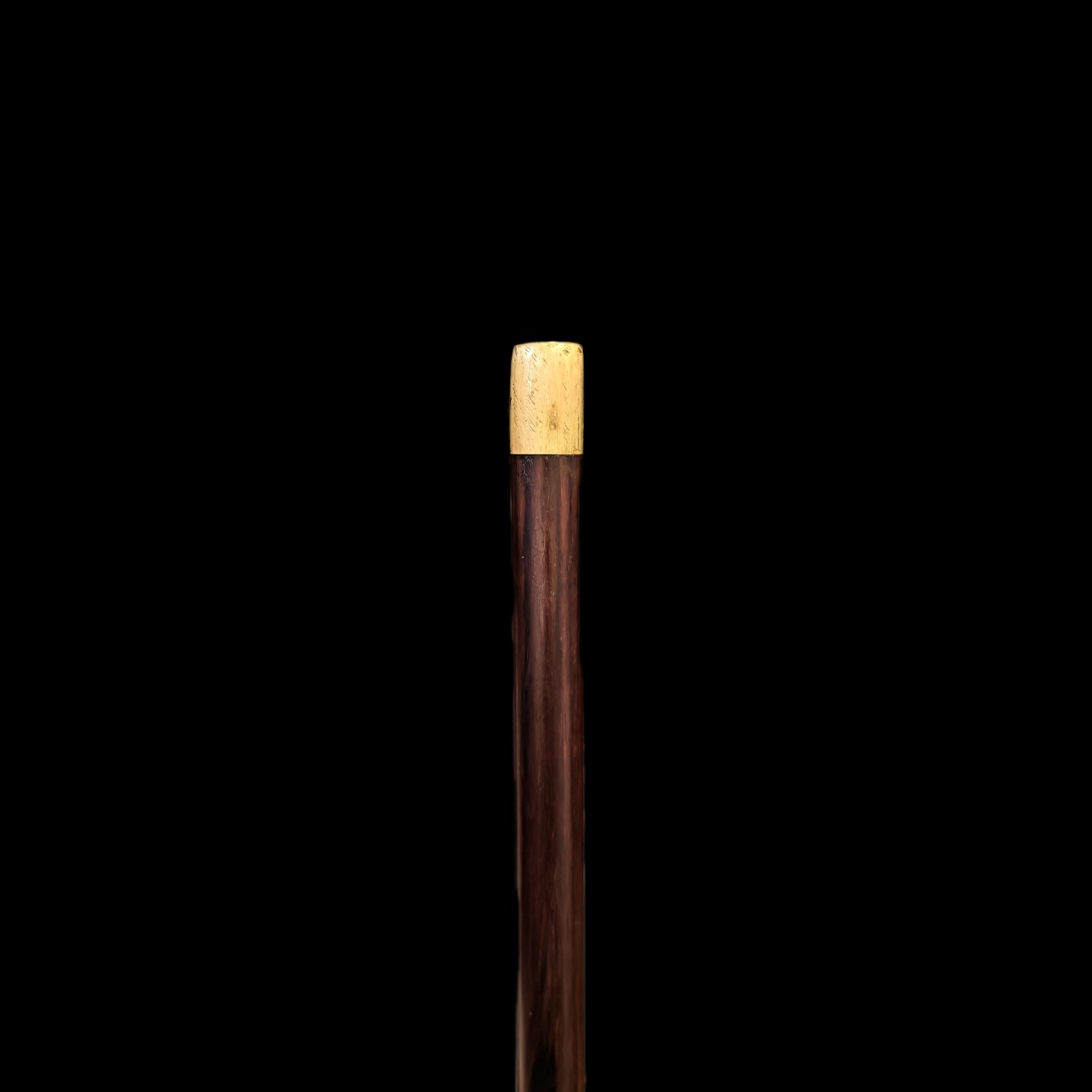 ROSEWOOD BIRD WALKING STICK