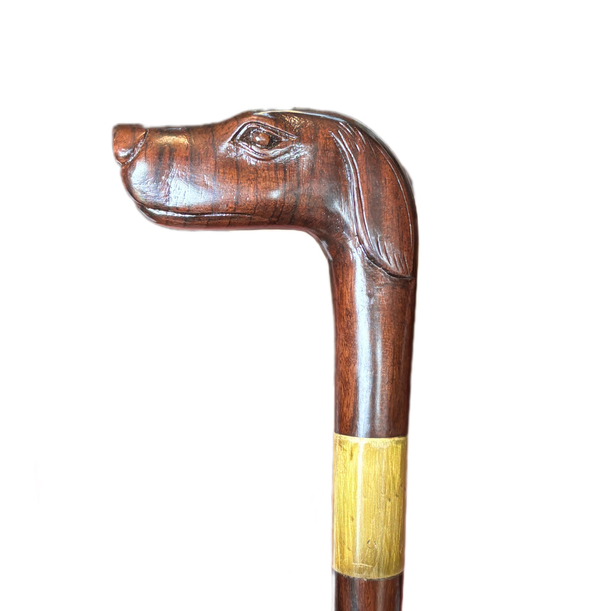 SPANISH HEAD DOG WALKING STICK