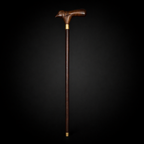 ROSEWOOD BIRD WALKING STICK