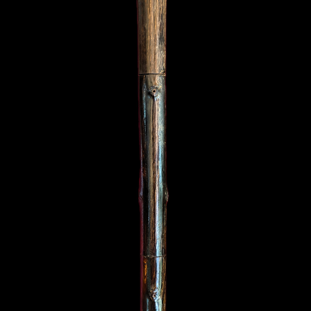 RHINO HORN WALKING STICK
