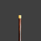 ROSEWOOD WALKING STICK 1