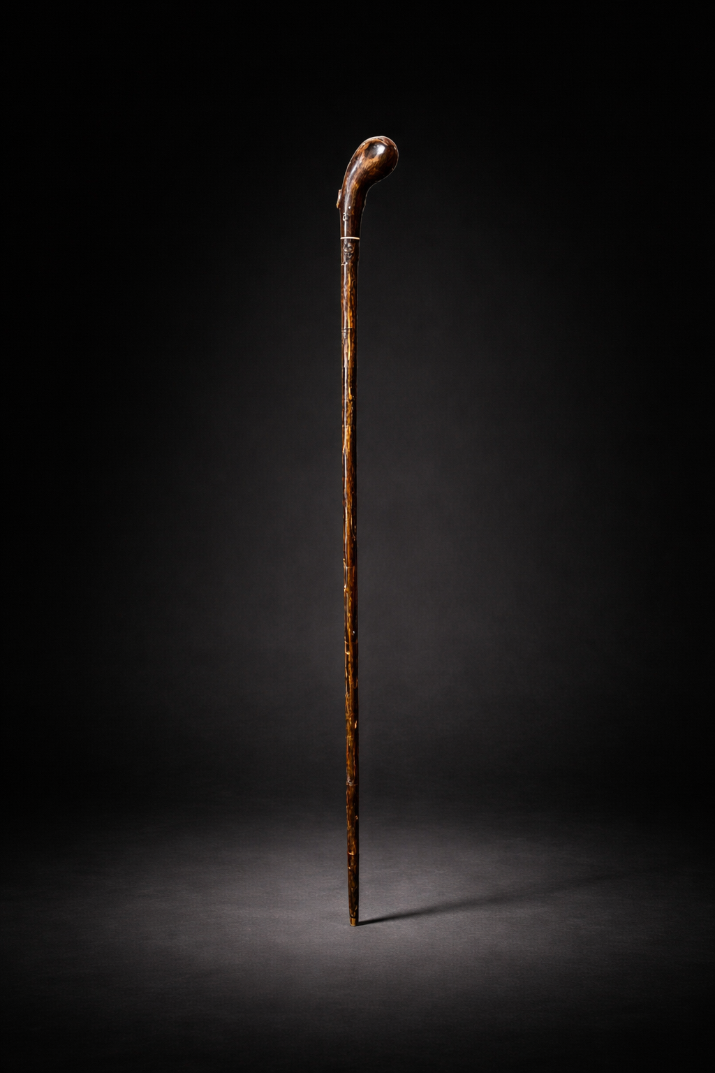 RHINO HORN WALKING STICK