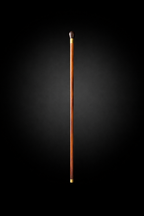 ROSEWOOD WALKING STICK 4