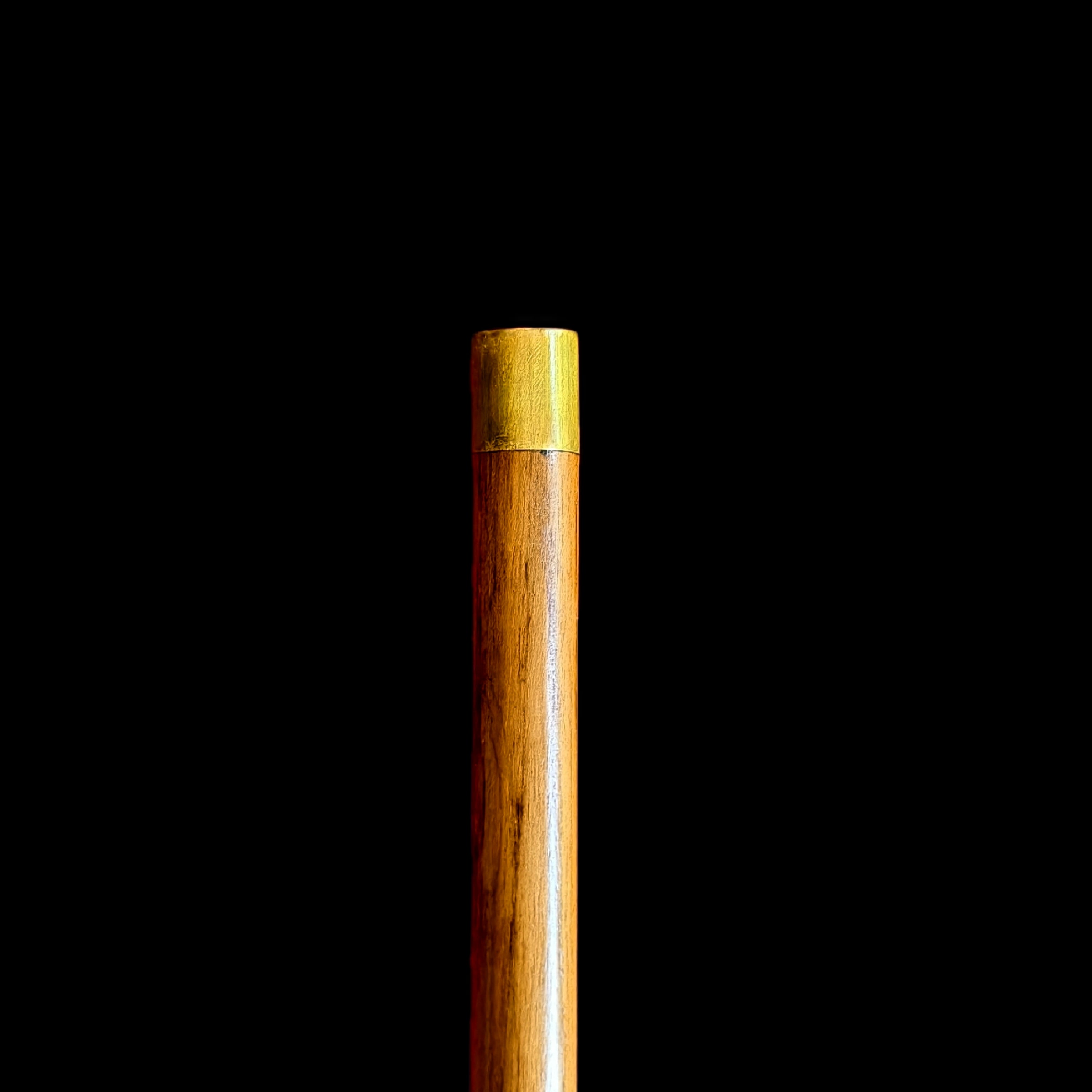 EAGLE HEAD WALKING STICK