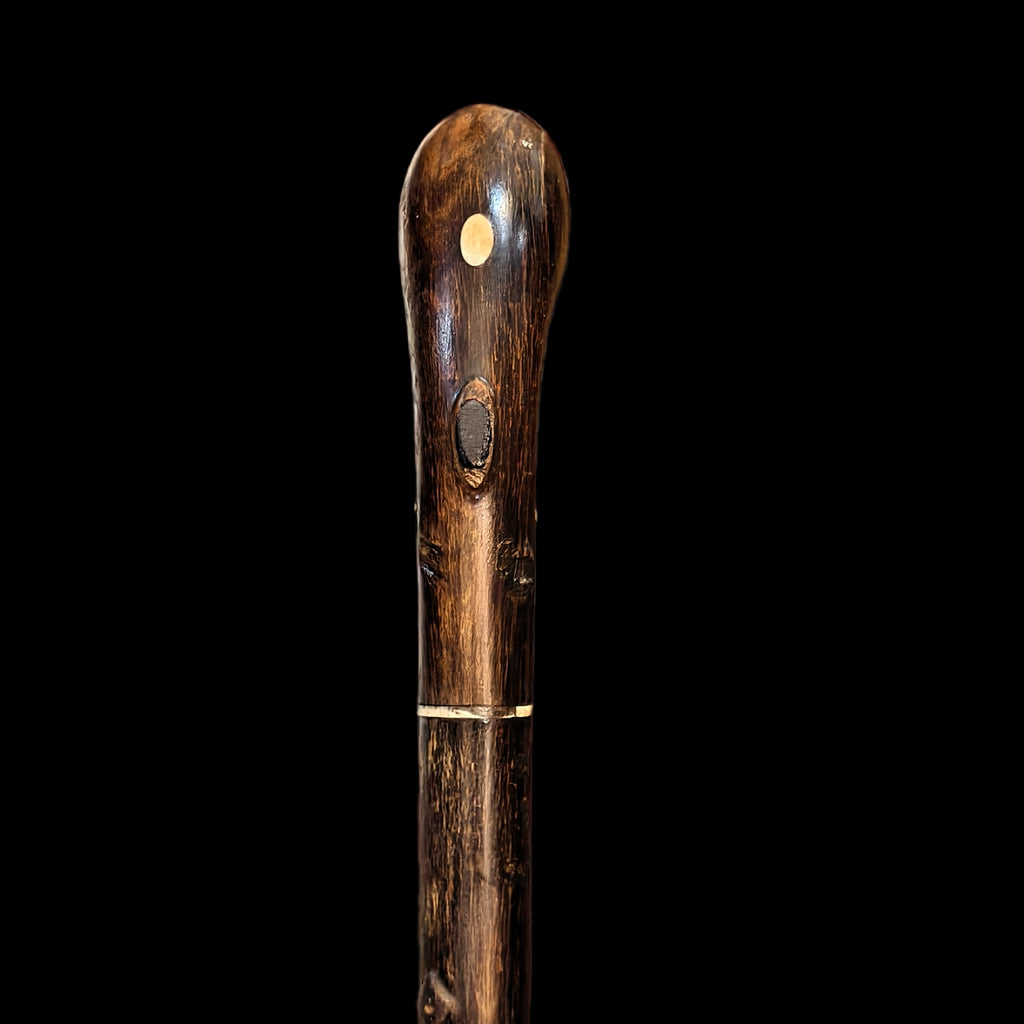 RHINO HORN WALKING STICK