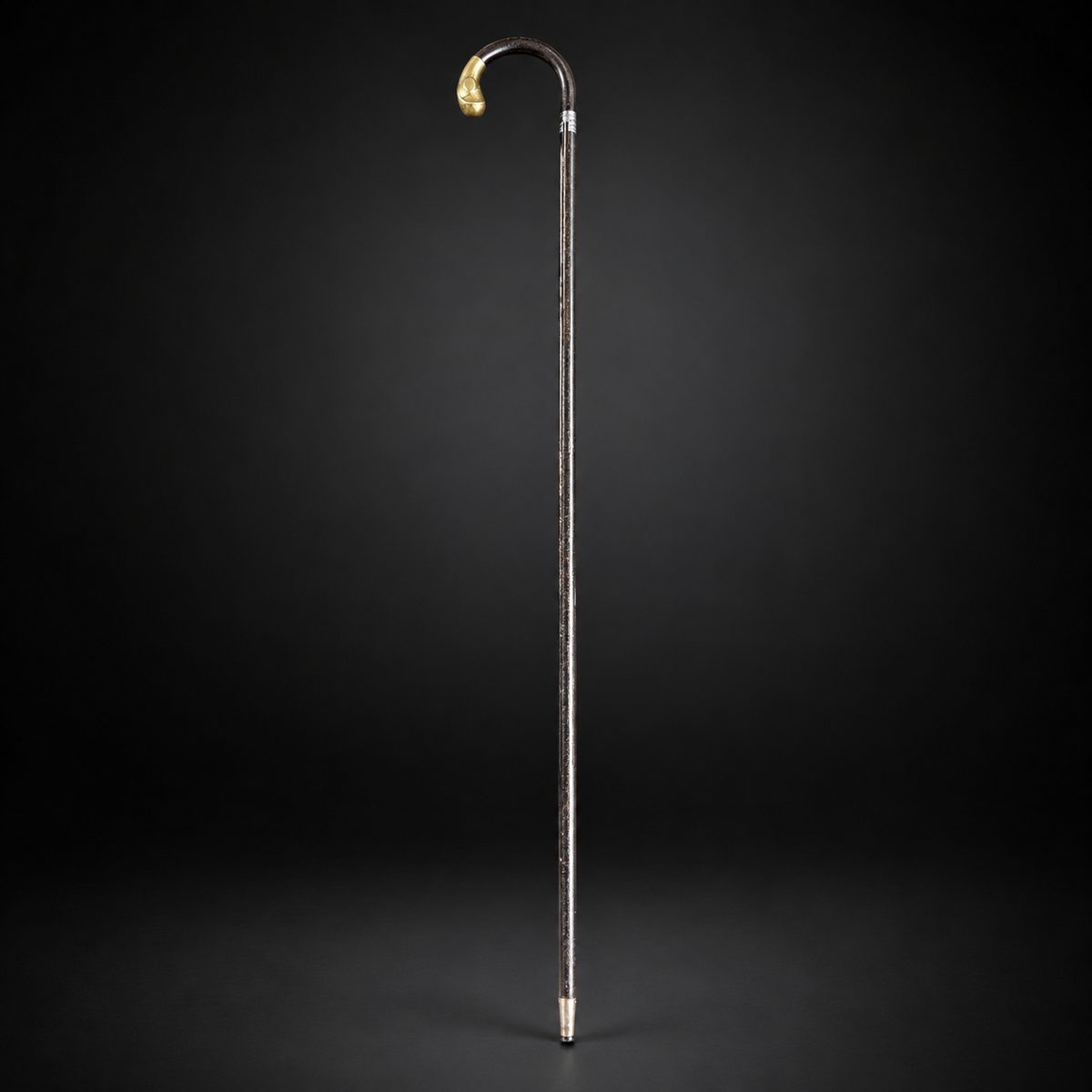 MADE IN FRANCE WALKING STICK