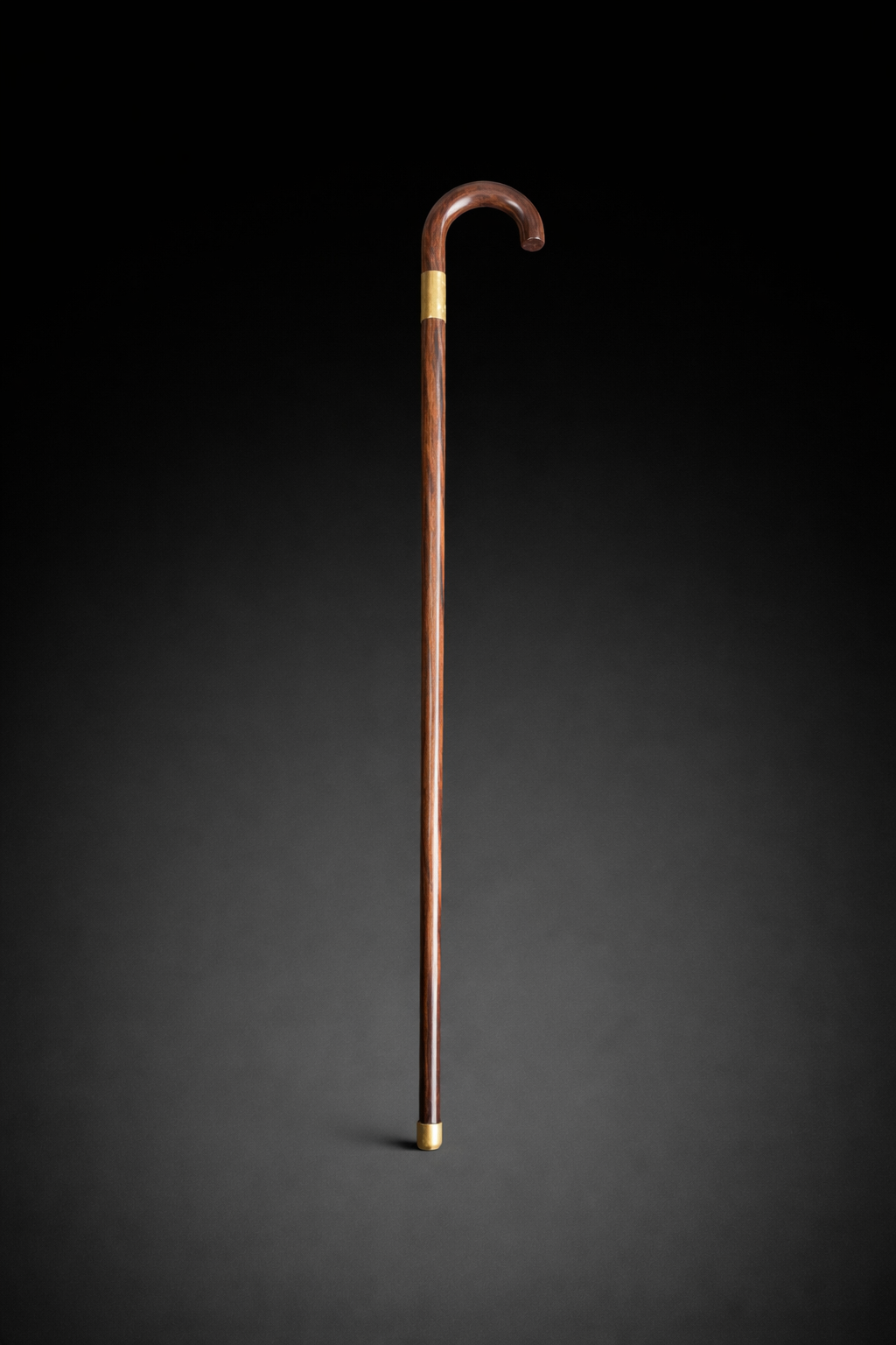 CLASSIC WALKING STICK