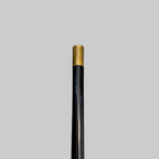 ENGLISH EBONY WALKING STICK